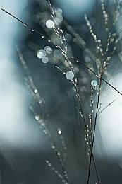 神作不再 《半条命3》或成系列最终章